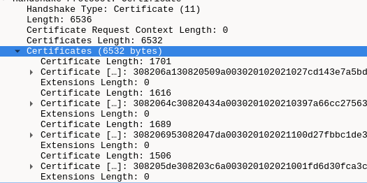 Certificate chain sizes
